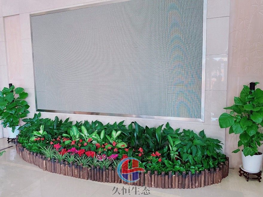 南湖企业大厅显示屏组合花卉绿植摆放